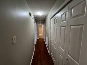 7901 Deer Trail Ln - for rent 38133