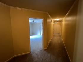 958 Harbor View Dr - for rent 38103