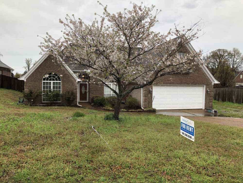 20 Harbor Oaks Cv Oakland TN 38060