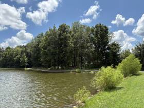 30 Misty Birch Ln - for rent 38060