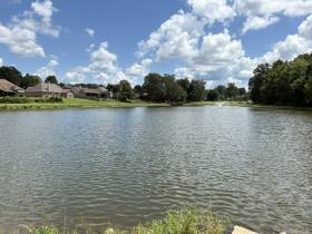 30 Misty Birch Ln - for rent 38060