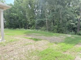 385 Windemere Loop - for rent 38060